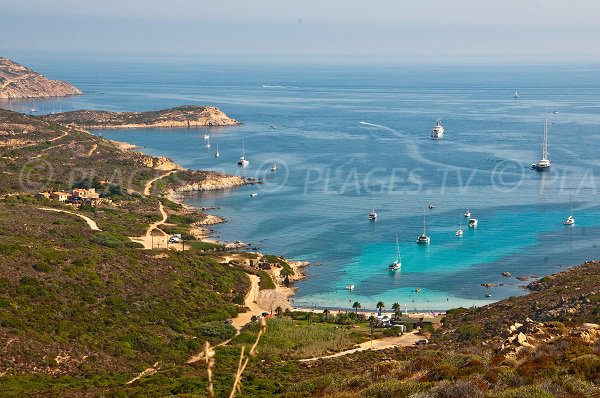 Plage d'Alga de Calvi - Corse