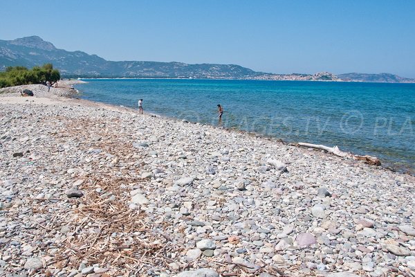 Plage avec de l'ombre à Lumio