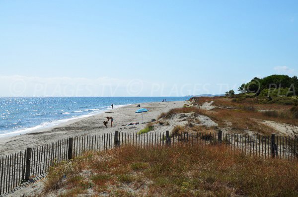 Environnement de la plage Nord d'Alistro