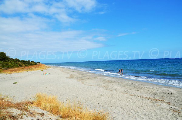 Foto della spiaggia Nord di Alistro a San Giuliano - Corsica