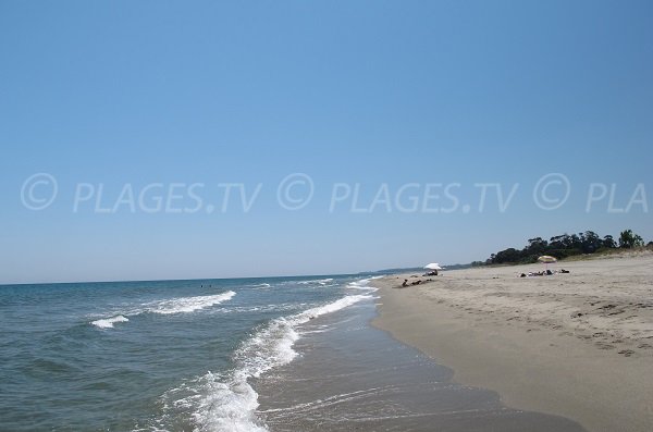 Beach in San Giuliano - Alistro