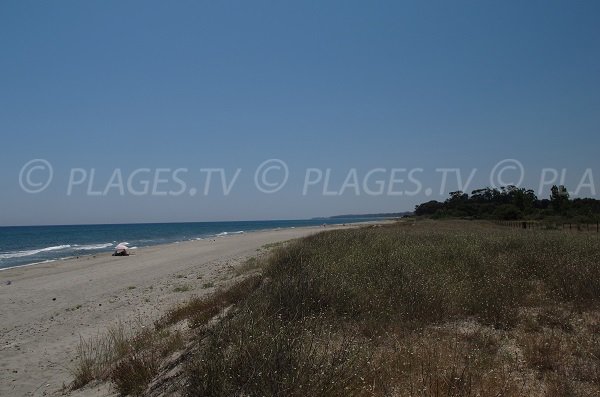 Ambientale spiaggia Alistro - Corsica settentrionale