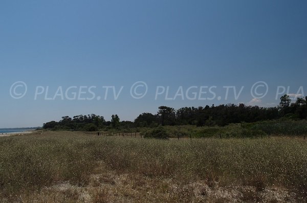 Paysage autour de la plage d'Alistro San Giuliano