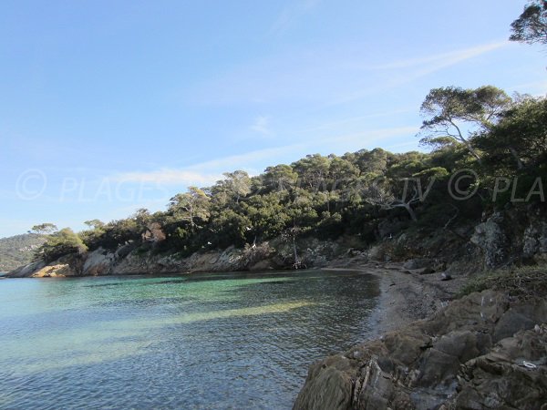 spiaggia Alycastre dell'isola di Porquerolles