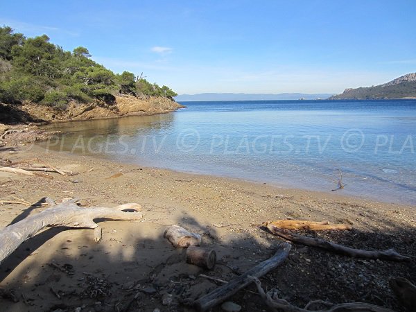 Porquerolles - beach of Alycastre