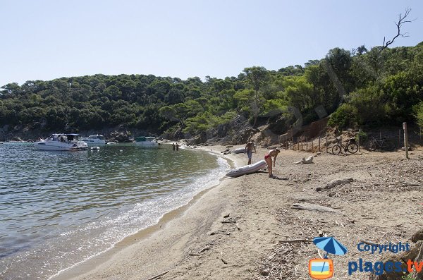 Foto della spiaggia dell'Alycastre a Porquerolles - Francia