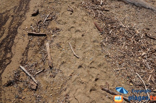 Sabbia della spiaggia dell'Alycastre - Porquerolles