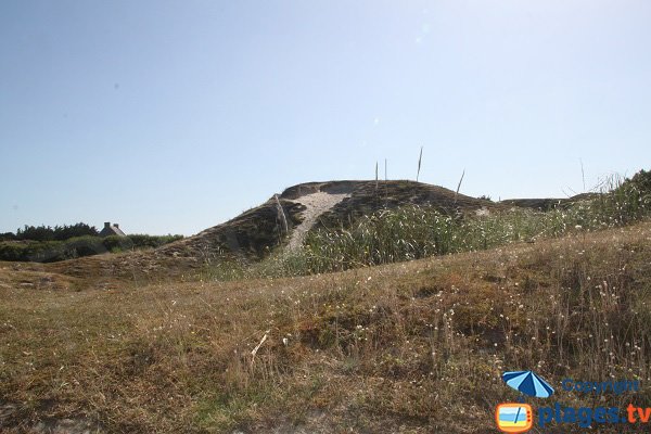 Environnement dunaire de la plage des Amiets - Bretagne