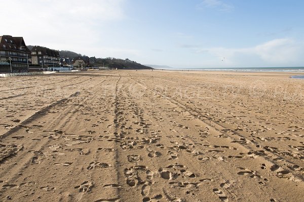 Ammonites Beach in Normandy (Benerville sur Mer)