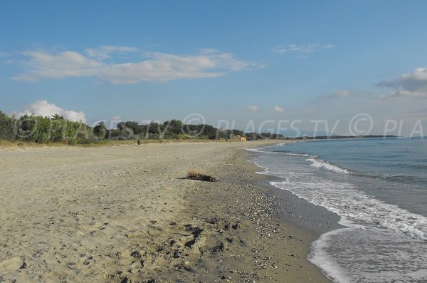 Spiaggia a Castellare-Di-Casinca (Corsica) - Anghione