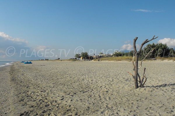 Foto della spiaggia d'Anghione in Corsica