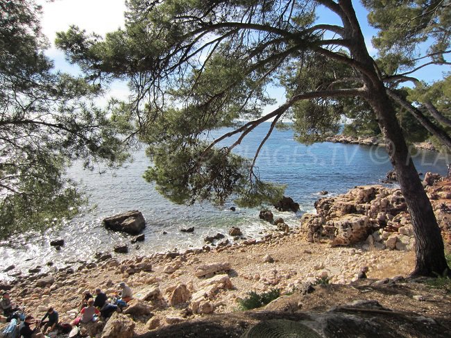 Calanque on the coastal path of Bandol in France