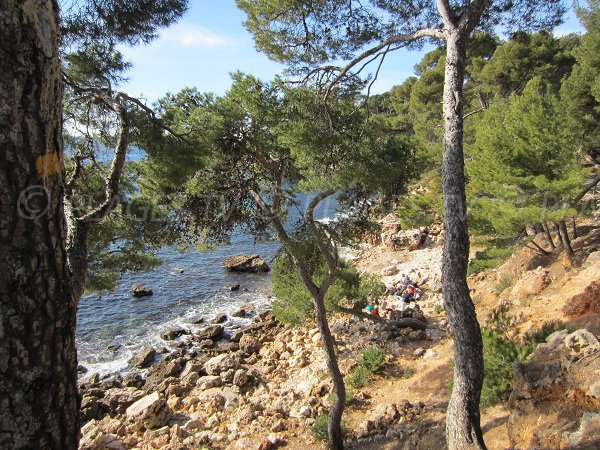 Spiaggia del Porto di Athena a Bandol