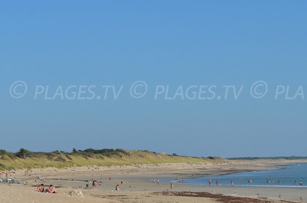 Plage sur l'Ile sur Ré à Couarde