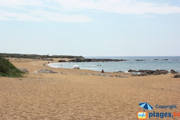 Environnement de la plage de Chaillé - Les Sables d'Olonne