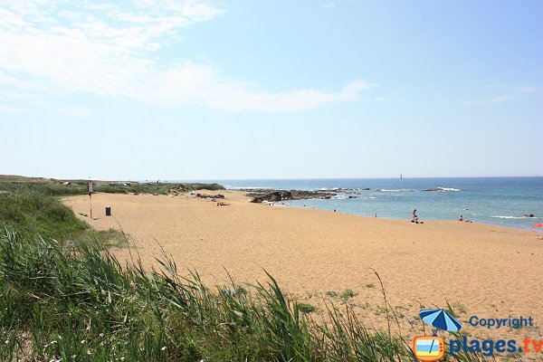 Foto della spiaggia Chaillé - Les Sables d'Olonne - Francia