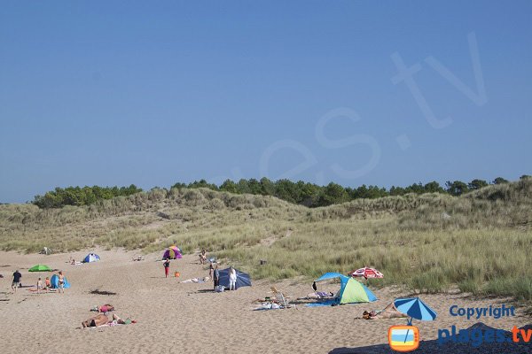 Dunes of Croc beach - Fréhel - France