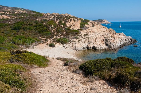 Première crique de la pointe de la Revellata à Calvi