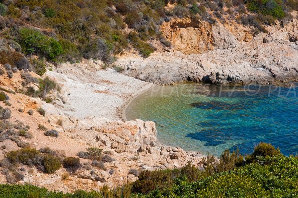 Cricche dell’Oscelluccia a Calvi