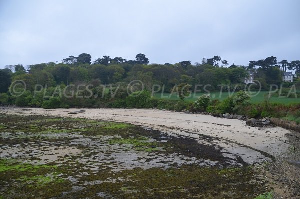 Photo d'une plage dans l'anse de Pellinec de Port Blanc à marée basse