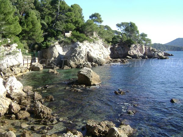 Criques de l'anse San Peyre de Toulon