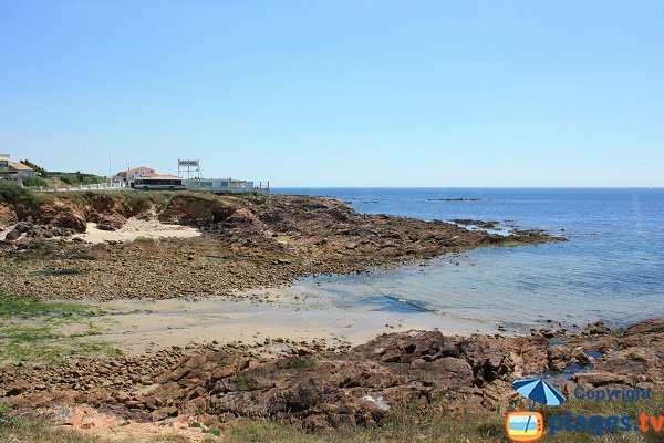 Photo of Vieux Moulin beach - Château d'Olonne - France