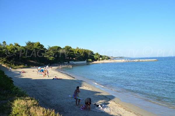 Foto della spiaggia Ansa del Vieux Moulin a Grimaud - Francia