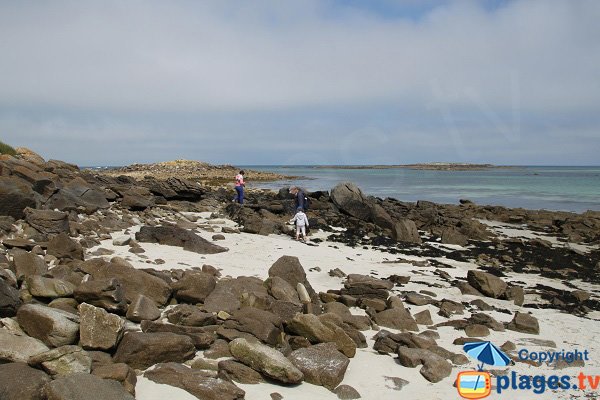 Crique sauvage sur l'ile de Batz - Aod Vraz