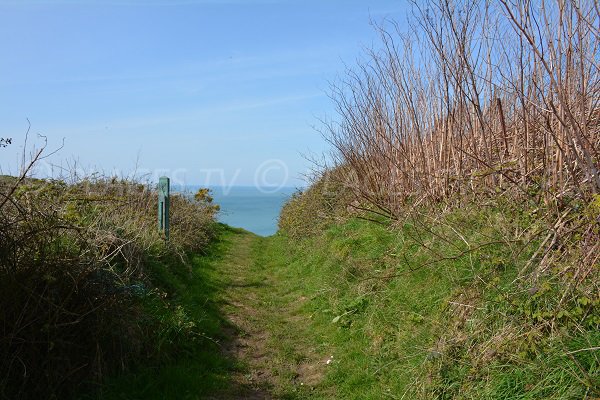 Accès au niveau des falaises - Octeville sur Mer