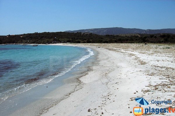 Plage d'Arbitru - Corse