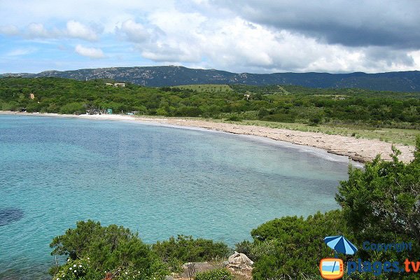 Photo de la plage d'Arbitru en Corse