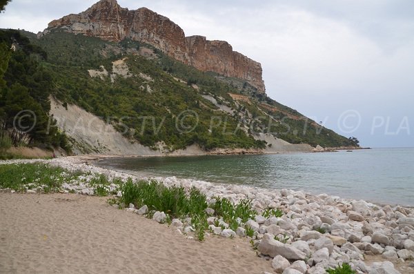 Plage de l'Arène de Cassis et Cap Canaille