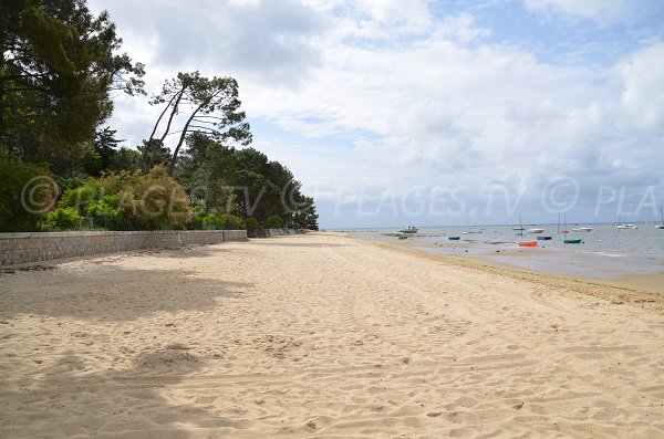 Plage de sable au bord du bassin d'Arcachon d'Arès (Coty)