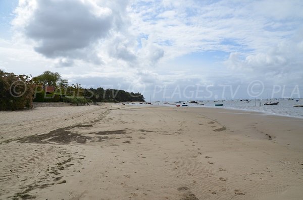 Plage sur le bassin d'Arcachon à Arès - rue Garguehos