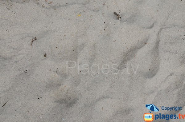 Sable gris de la plage d'Argent