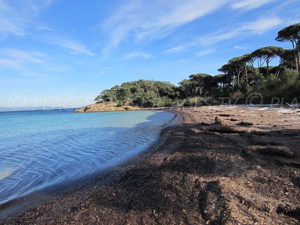 Argent beach on Island of Porquerolles in France