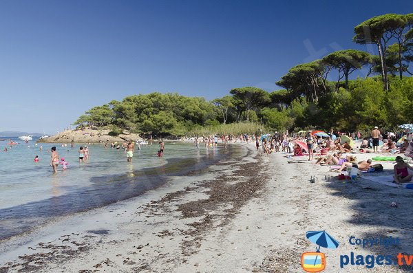 Photo de la plage d'Argent de Porquerolles
