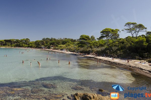 Argent beach in Porquerolles in France