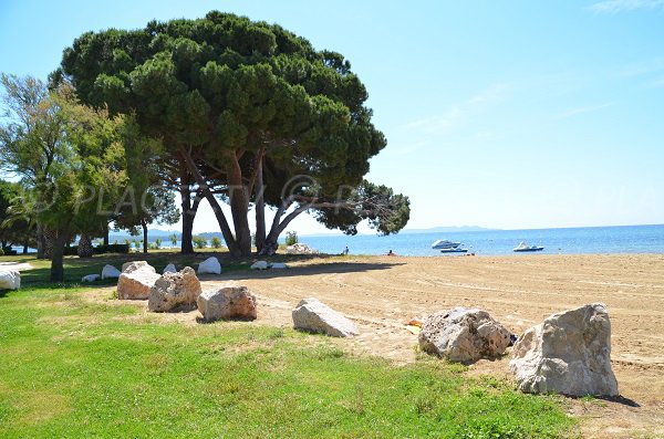 Pelouse et arbres sur la plage de l'Argentière à La Londe