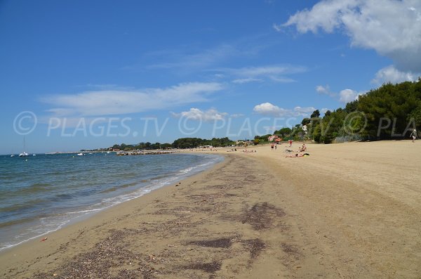 Argentière beach in La Londe les Maures in France - south