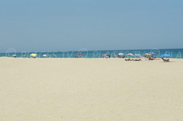 Foto della spiaggia a nord di Port Barcarès