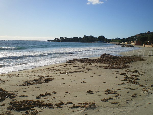 Sand beach in Ajaccio next to Tino Rossi home