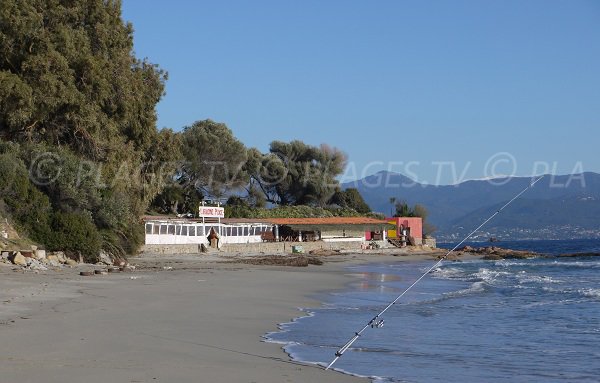 Plage Ariadne à Ajaccio - l'une des plus belles plages du golfe d'Ajaccio