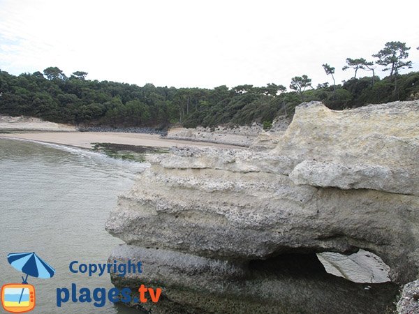 Cliffs of Arnèche beach - Meschers sur Gironde