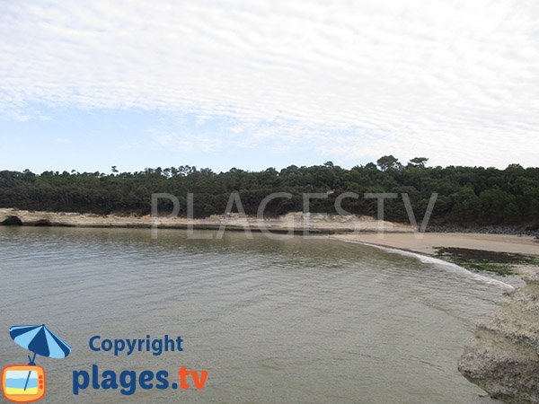 Sand cove in Meschers sur Gironde - Arnèche