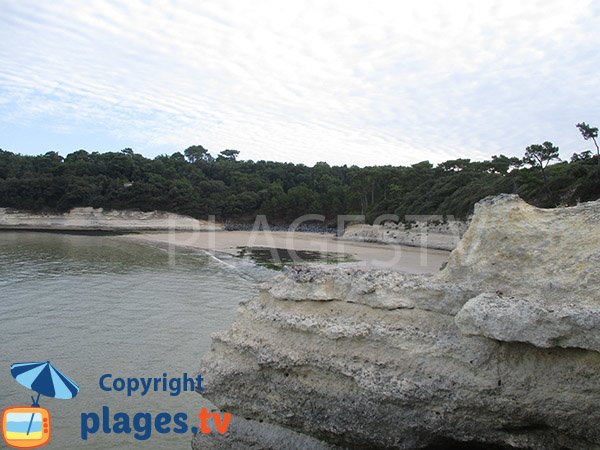 Photo de la plage de l'Arnèche à Meschers sur Gironde