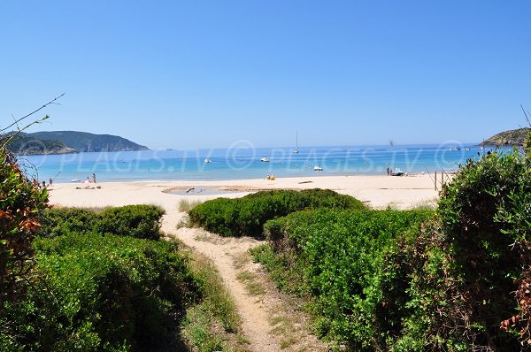 Sentier d'accès à la plage d'Arone