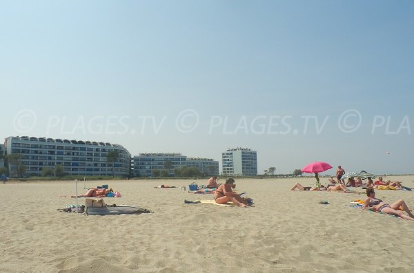 Environnement de la plage Nord de St Cyprien