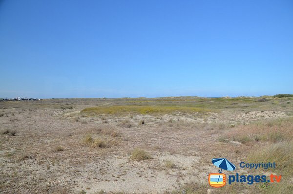 Dunes in St Cyprien