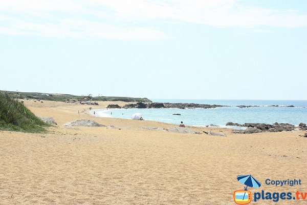 Vue sur l'anse de Caillé depuis la plage de l'Aubraie - Sables d'Olonne